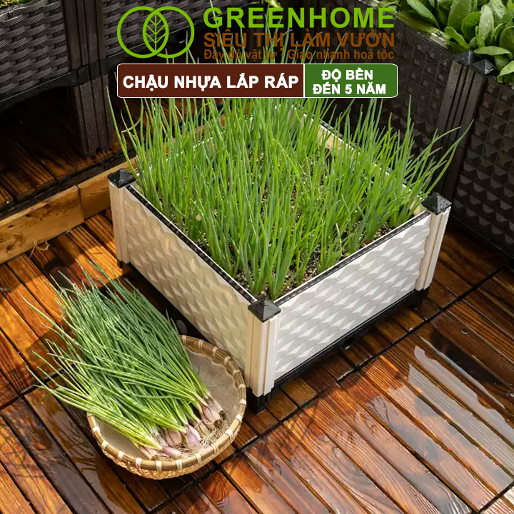 Chậu Trồng Cây Greenhome, Nhựa Nguyên Sinh Lắp Ráp, Nhiều Kích Thước, Trồng Hoa Hồng, Rau, Củ, Quả, Độ Bền 5 Năm