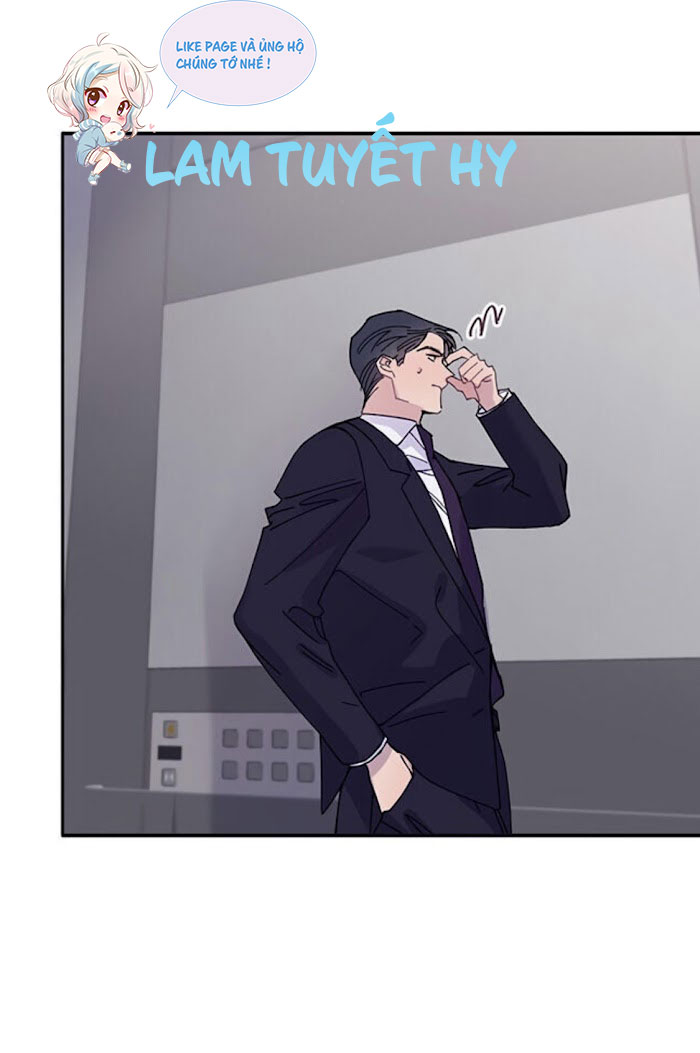 Why Not, CEO? chapter 5