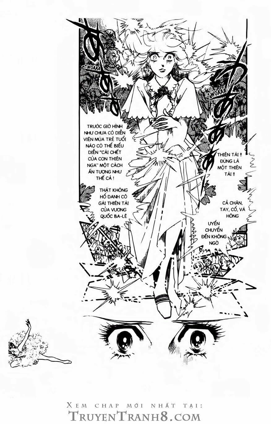 swan - vũ khúc thiên nga chapter 84 8