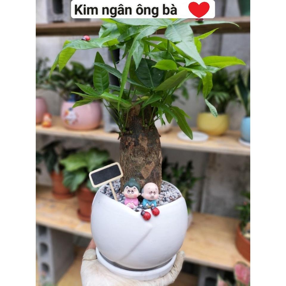 Kim ngân ông bà