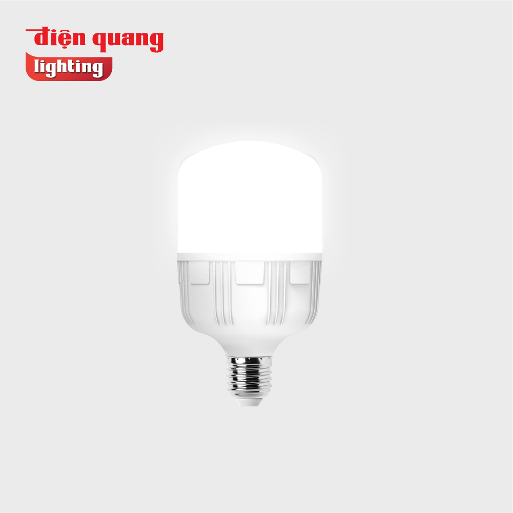 Đèn LED bulb công suất lớn Điện Quang ĐQ LEDBU10 10765AW