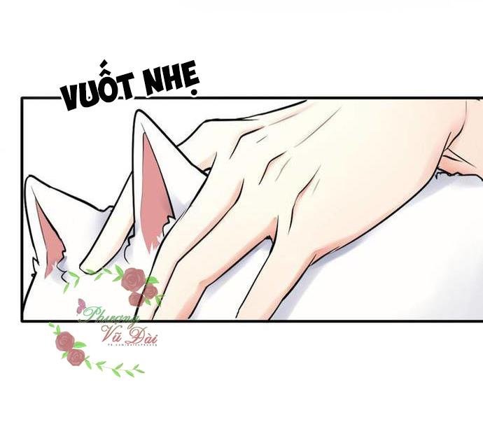 ảnh đế cầu sủng chapter 2 31