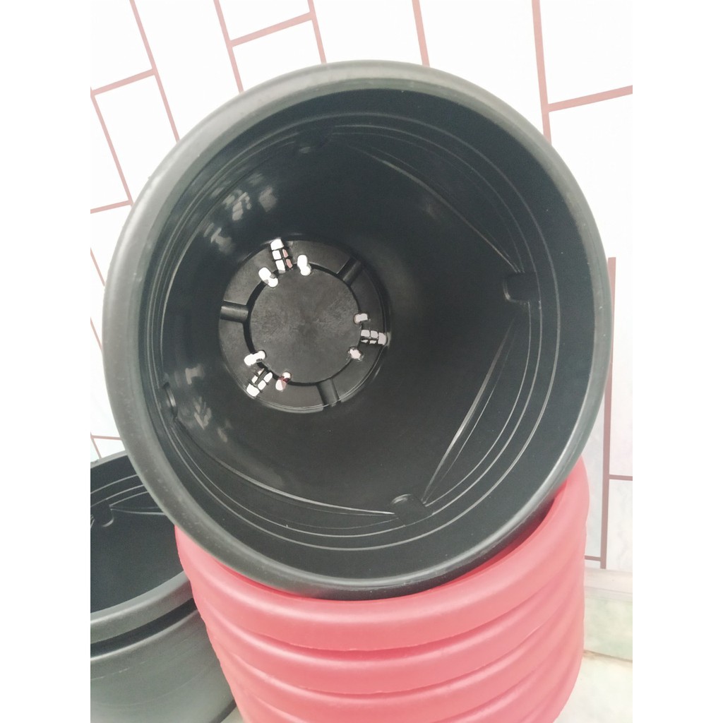 COMBO 5 Chậu Nơ Trồng Hoa Trồng Rau, Cây Cảnh HOLO-GREEN