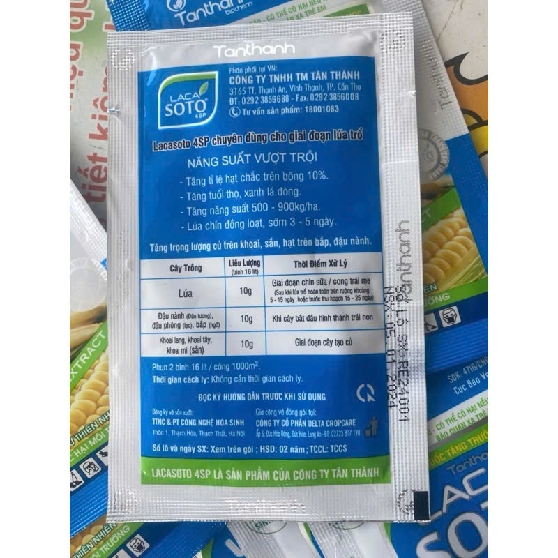 LACA SOTO 4SP của TÂN THÀNH Chắc cậy đầy bông, xanh lá đồng, tăng năng suất