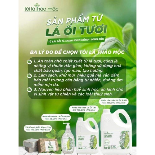 Nước rửa chén bát Lá Ổi 3,68L - Tôi Là Thảo Mộc