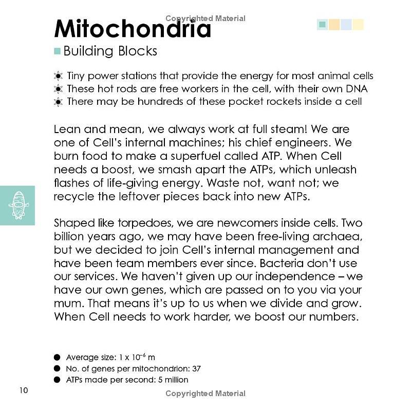 Sách ngoại văn: Basher Science - Biology