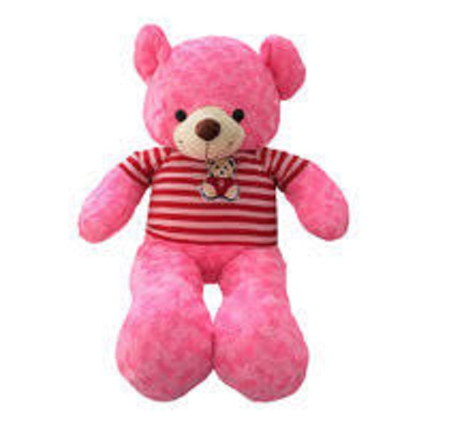 thú bông teddy 40cm đến 100cm