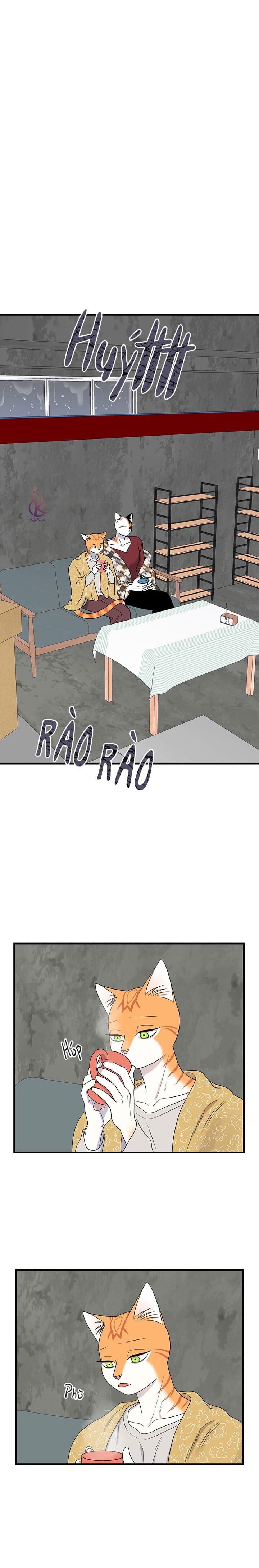 dự án xanh chapter 47 1