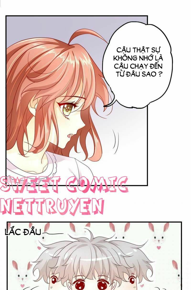 chàng trai người máy ấm áp 741 của tôi chapter 5 22