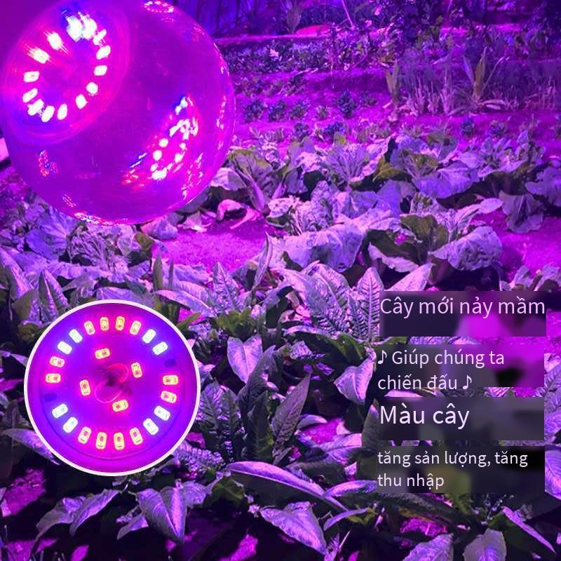 Đèn LED thuận lợi nhất mọng nước lấp đầy ánh sáng hoa giả mặt trời tăng trưởng thực vật đèn trong nhà thẳng đứng clip-on đèn bàn thực vật