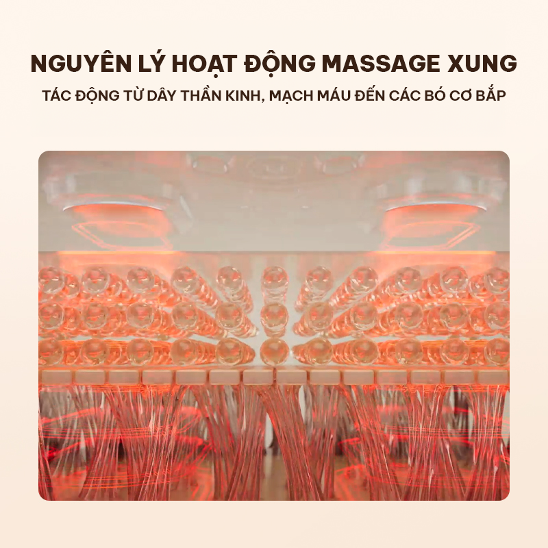 Máy massage lưng bụng SKG K5 Promax