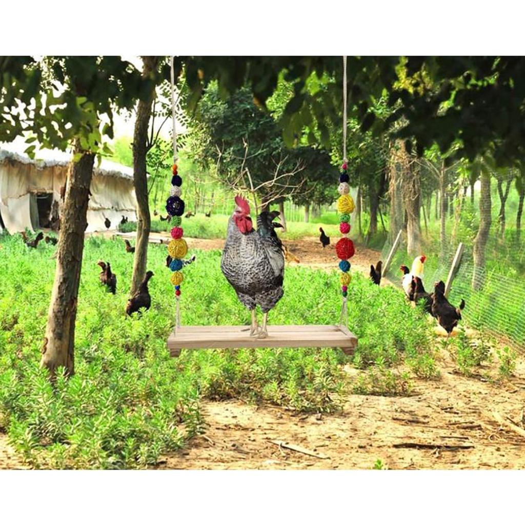 Pet Chicken Swing Toys Natural Wooden for Hens Large Bird Parrot Macaw Training
