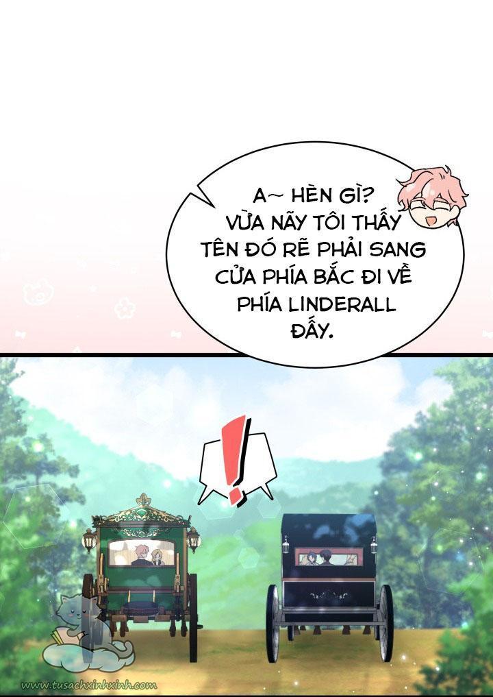 quan hệ cộng sinh giữa báo đen và thỏ trắng chapter 61 74