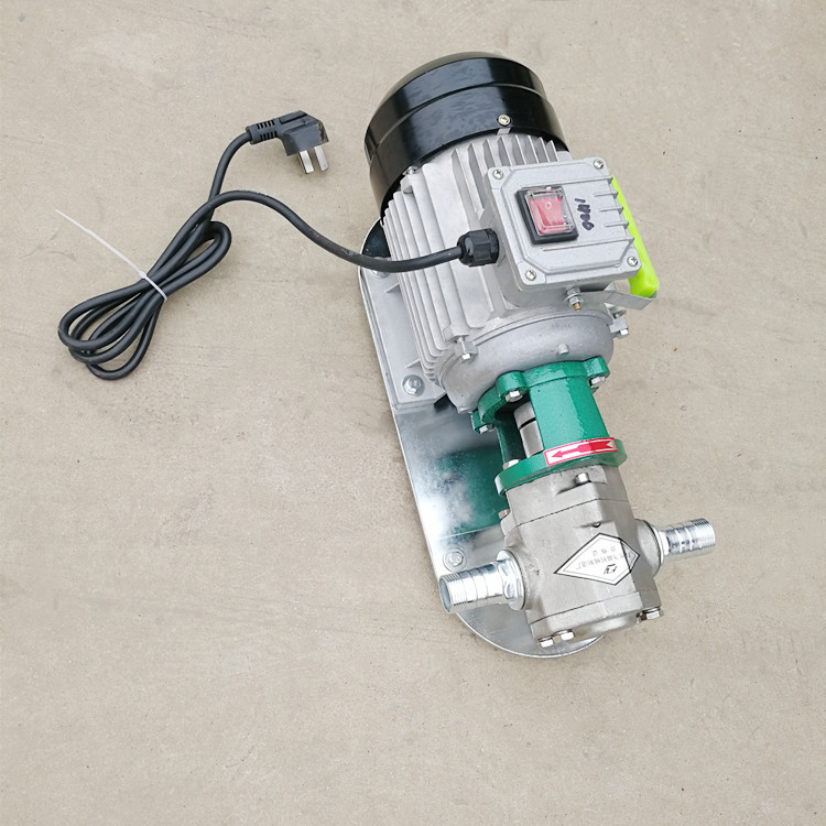 Bơm Bánh Răng Inox 304 WCB – Ngoại Khớp, Bền Bỉ &amp; Chịu Hóa Chất