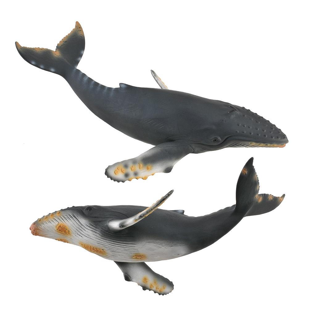 Mô hình thu nhỏ: Cá Voi Lưng Gù - Humpback Whale, hiệu: CollectA, mã HS 9652050 - Chất liệu an toàn cho trẻ - Hàng chính hãng