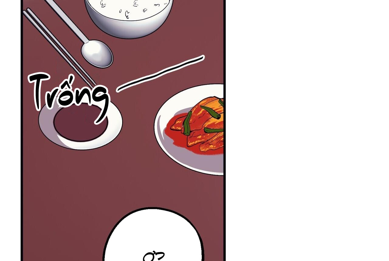 chàng dâu nhà họ kang chapter 43 39