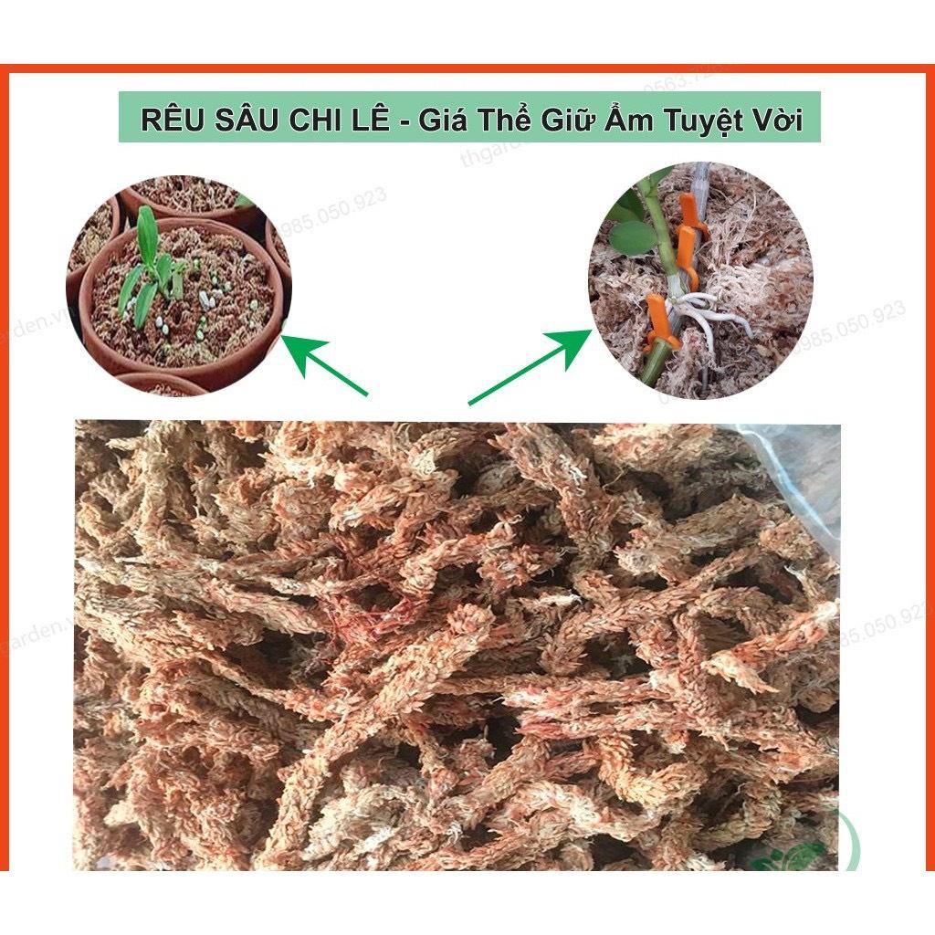 100g Rêu Sâu Chine loại 1, Rêu Nhập Khẩu, Chuyên dùng làm giá thể cho LAN, Dớn trồng lan
