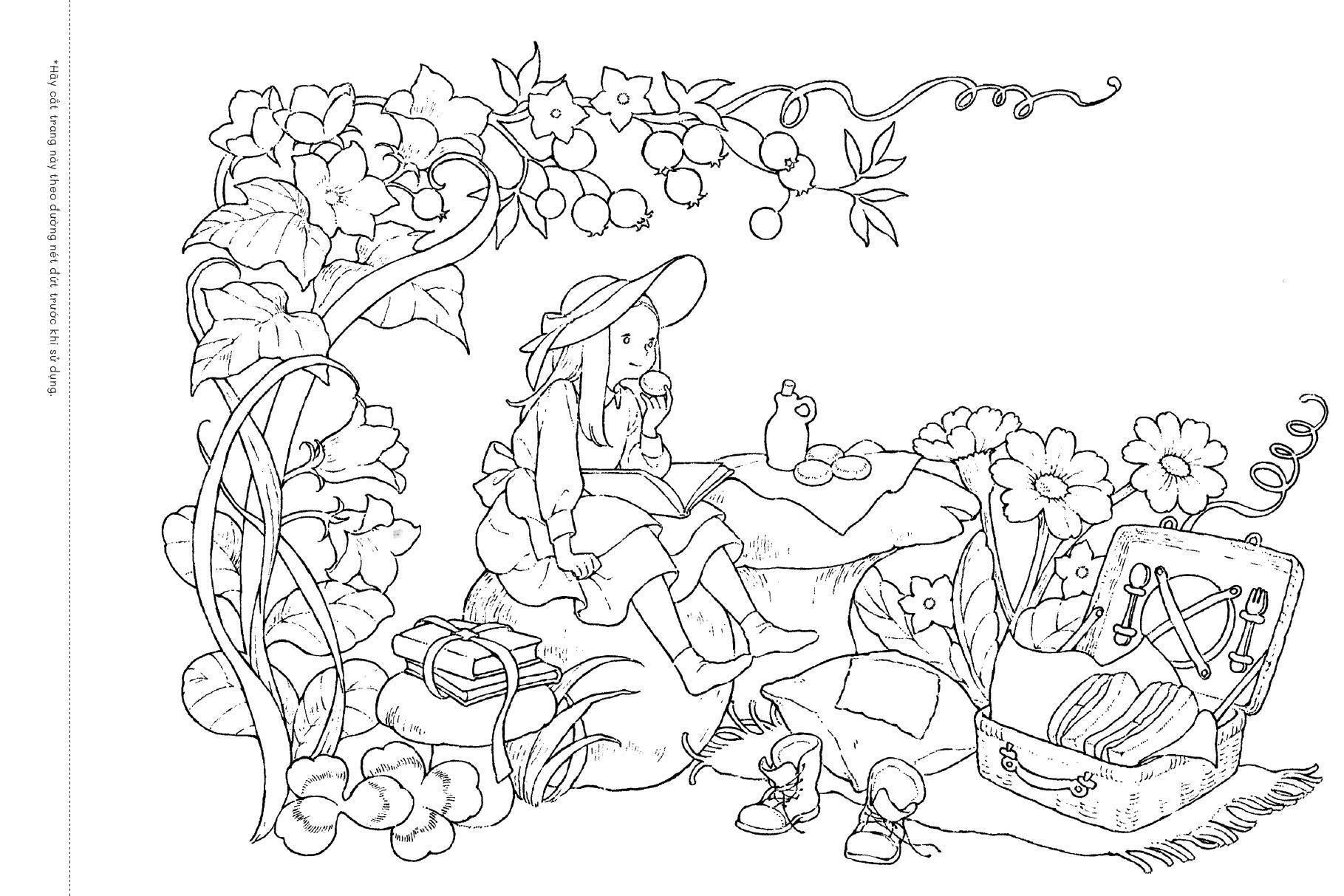 Sách - Sách Cửa Tiệm Trong Mơ - Nơi Trú Ẩn Bình Yên - Tiệm Postcard Trong Khu Rừng Nhỏ