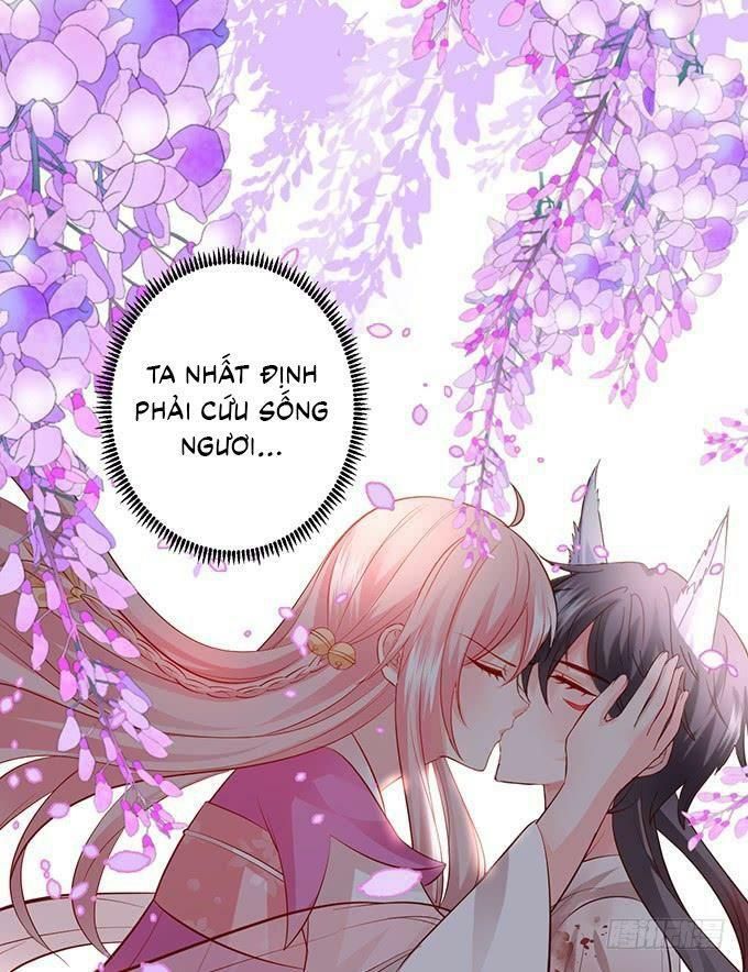 hồ tiên hung bạo chapter 148 23