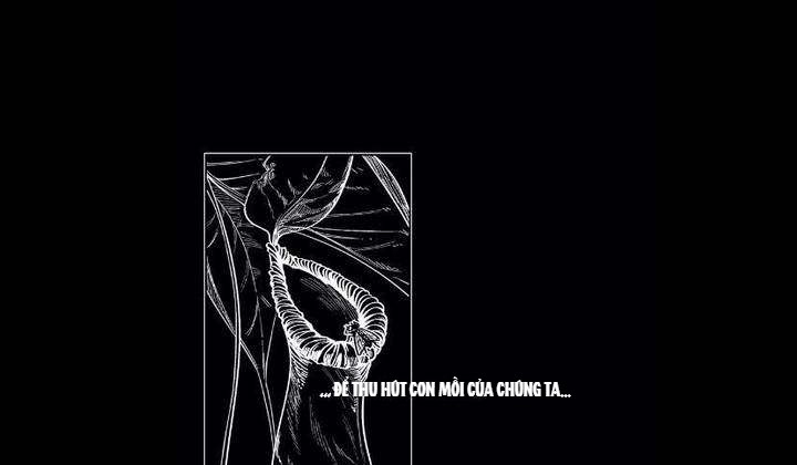 s flower chapter 65.1 47