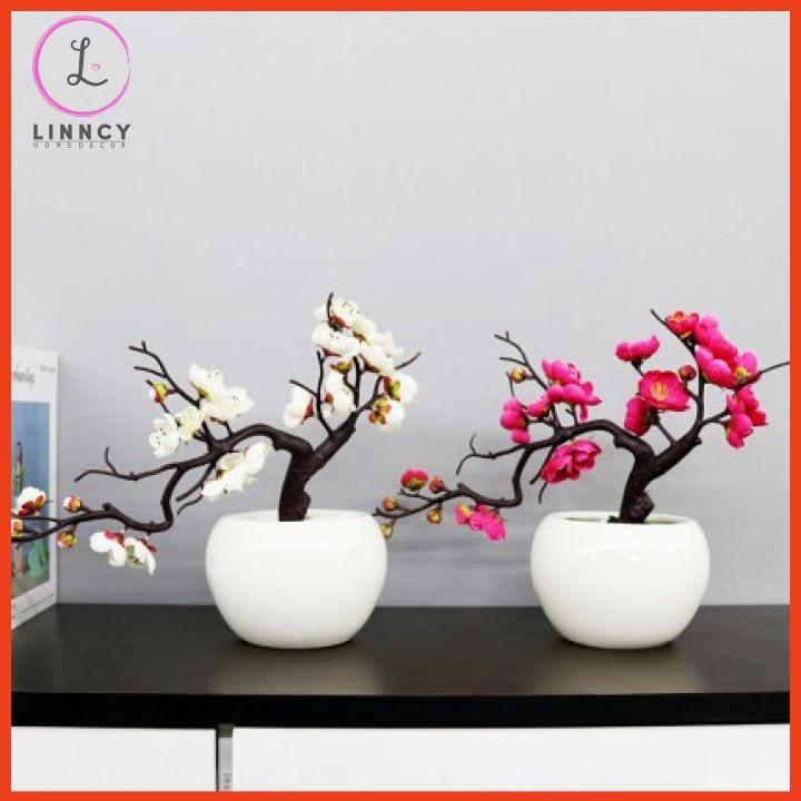 Chậu đào bonsai nhân tạo trang trí nhà cửa, cửa hàng, văn phòng