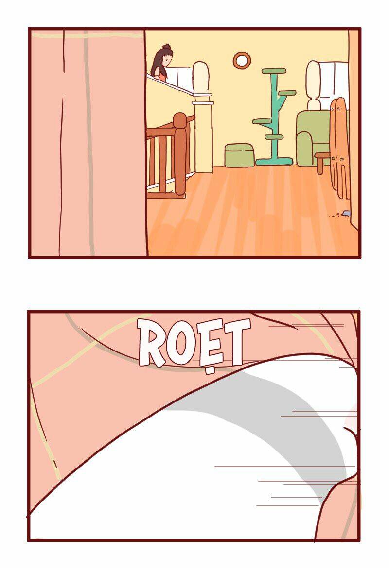 saphie: chú mèo một mắt chapter 13 6