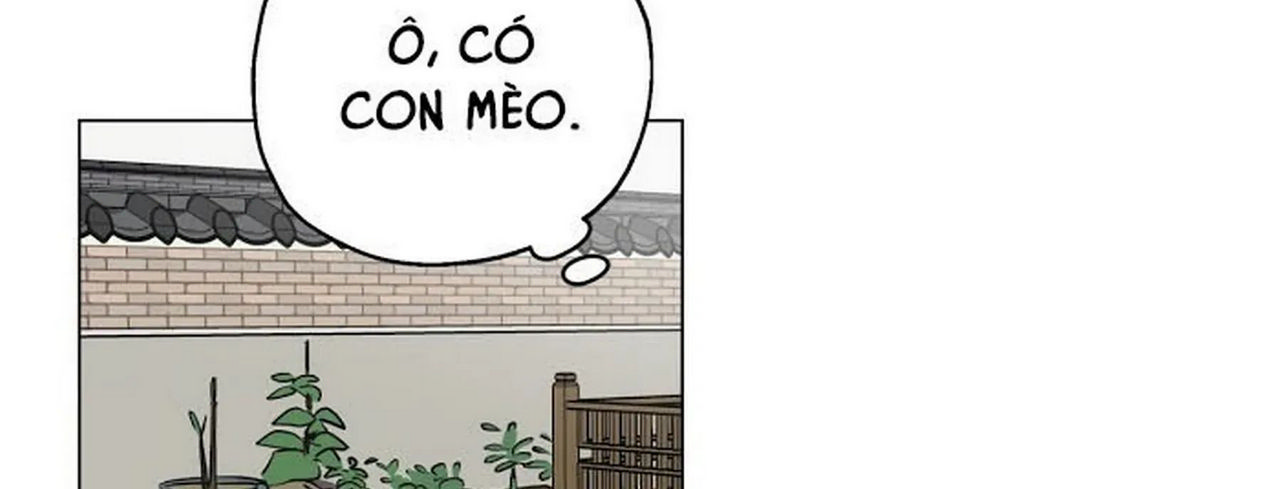 chuyện quái gì với giấc mơ đó vậy chapter 1 95