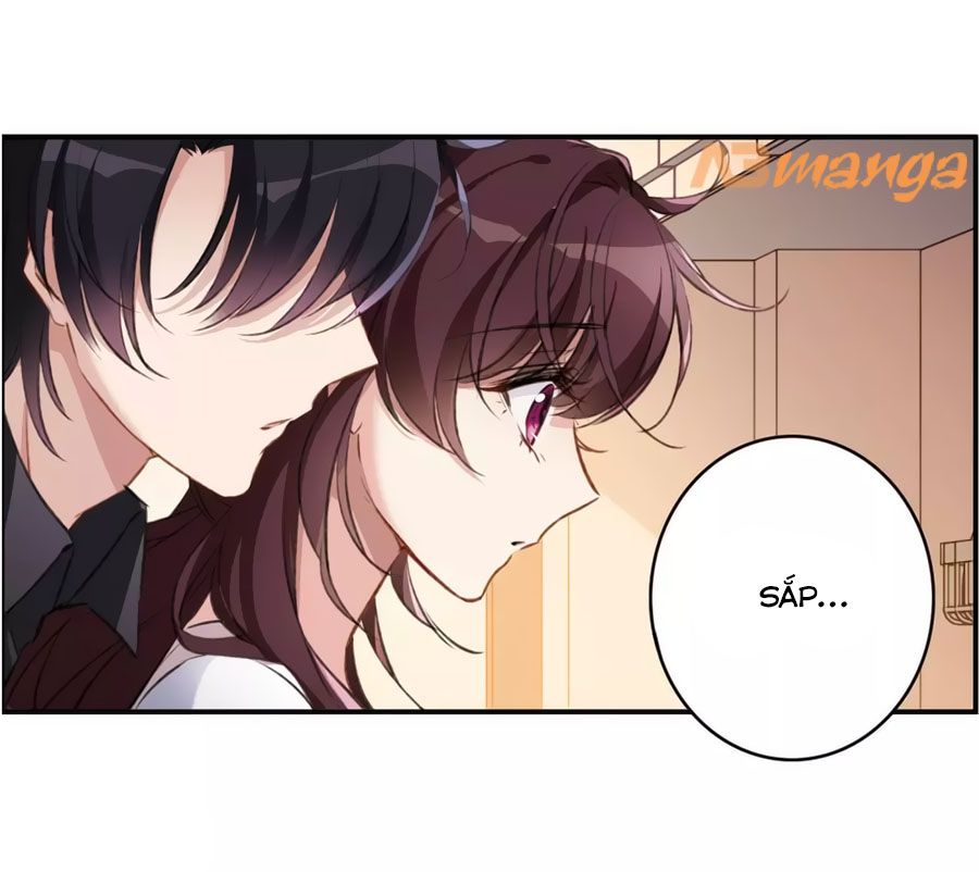 Cuốn Sách Vận Mệnh Của Tôi chapter 56 - Trang 24