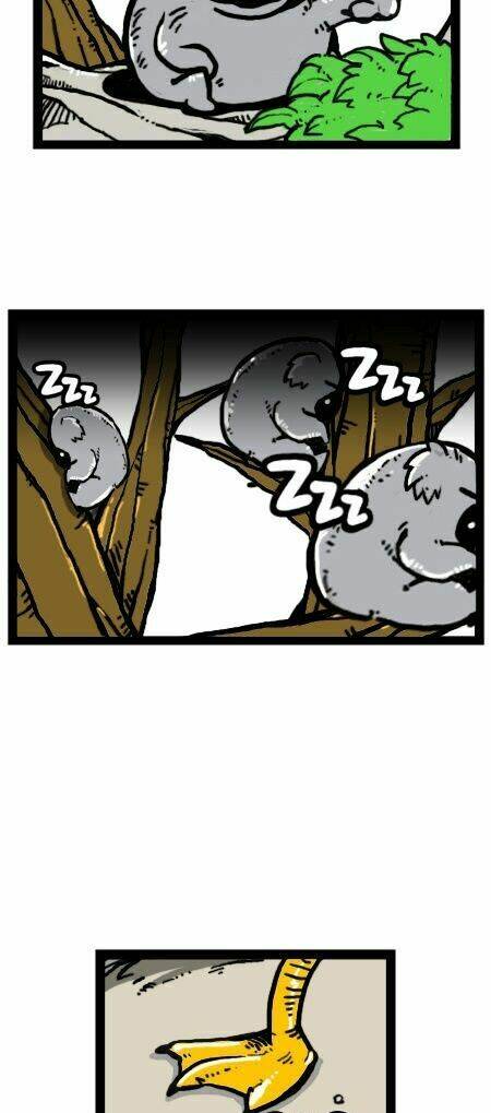 earth, human, and animal chapter 18 5