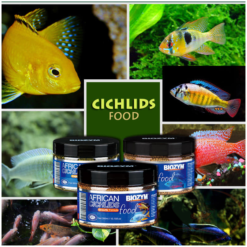 Thức Ăn Cá Biozym African Cichlid Growth Food Đạm Tăng Trưởng
