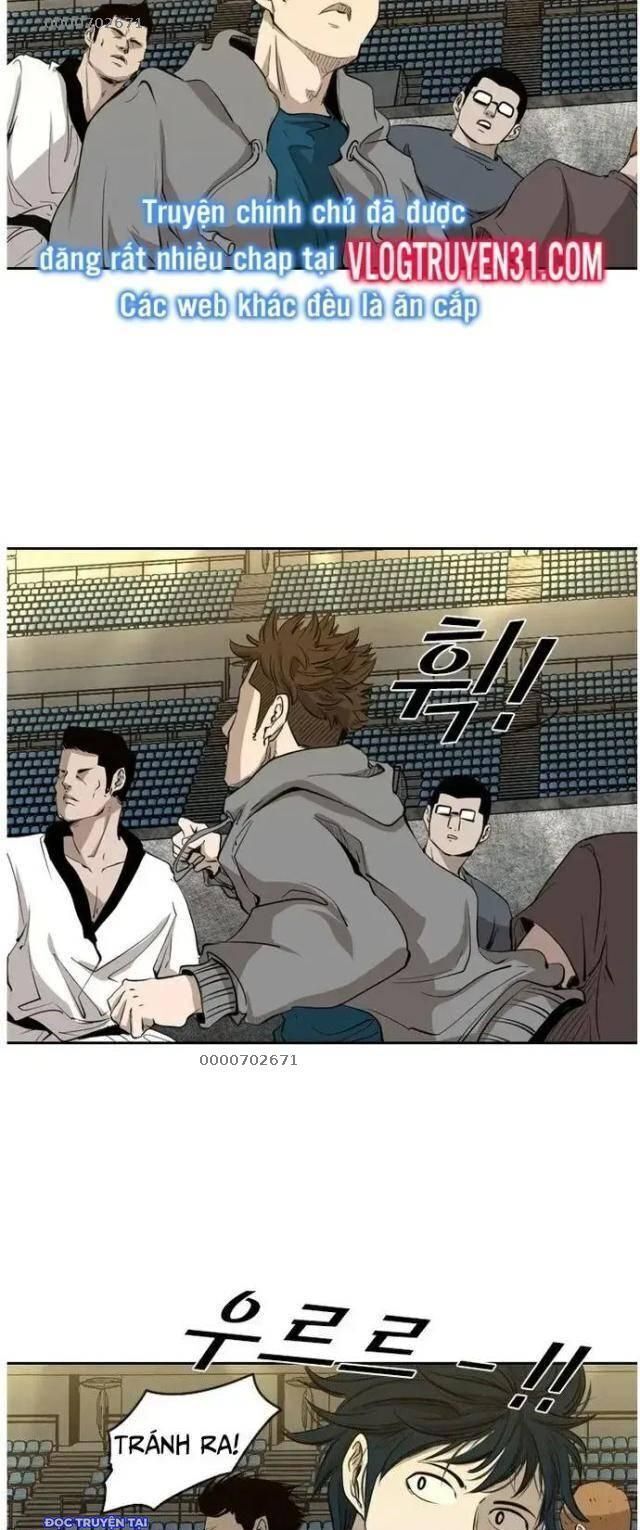 shark - cá mập chapter 126 12