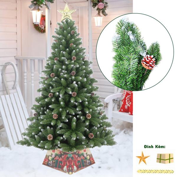 Cây Thông Noel Đầu Nhọn Phun Sơn Gắn Trái Thông 180 cm - Cây Treo - Chaang Chiia LP-TP-6