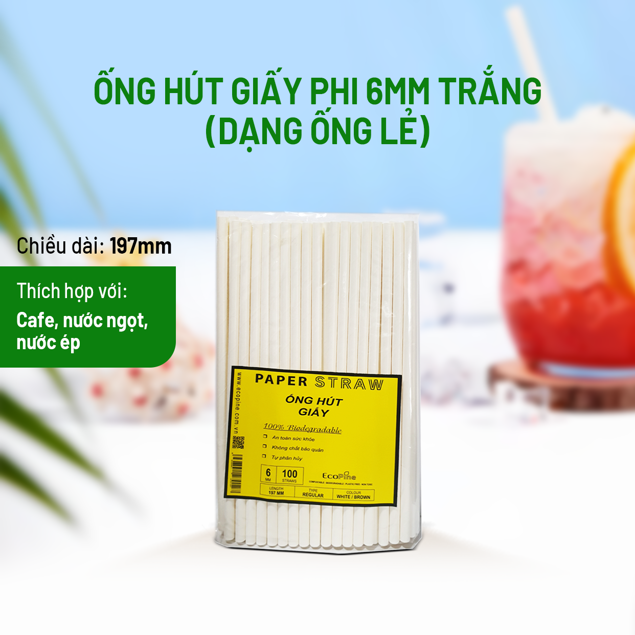 Bịch 100 ống hút giấy phi 6mm màu trắng ECOPINE