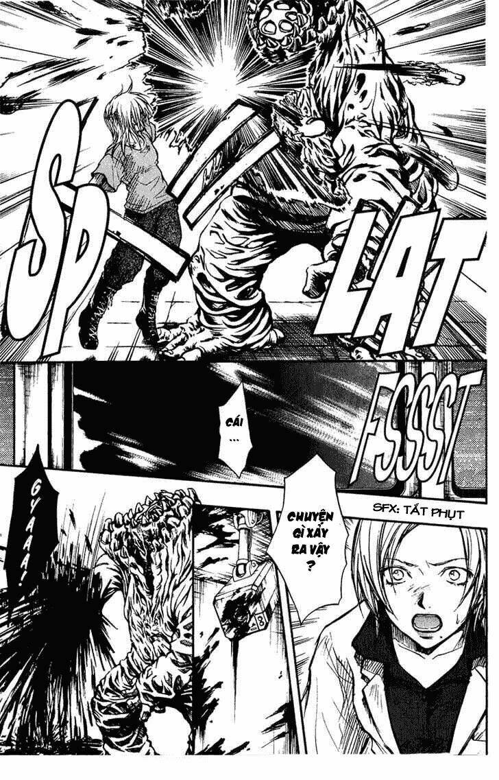 variante chapter 12 13