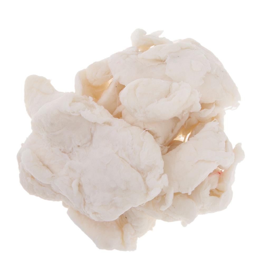 100G Bột Giấy Làm Giấy Papermaking Bột Giấy Cho Giấy Tái Chế Tiếp Liệu