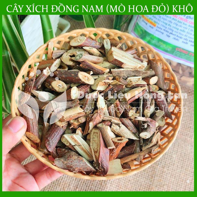 500gram Cây Xích Đồng Nam ( Mò Hoa Đỏ) khô sạch