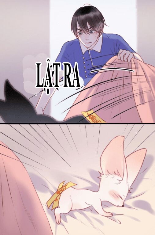 lượm được một tiểu hồ ly phần 1 chapter 66 32