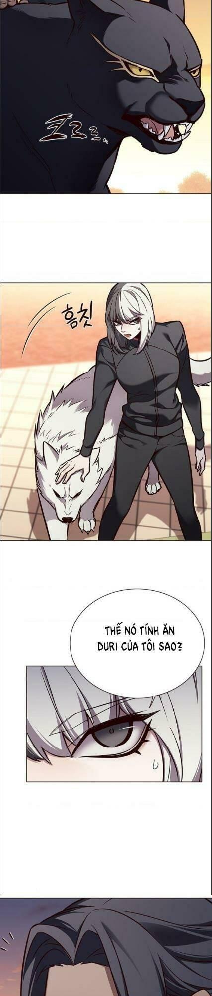 biến thân thành mèo chapter 161 11