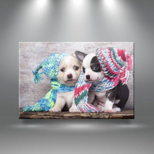 Tranh canvas thú cưng – W48