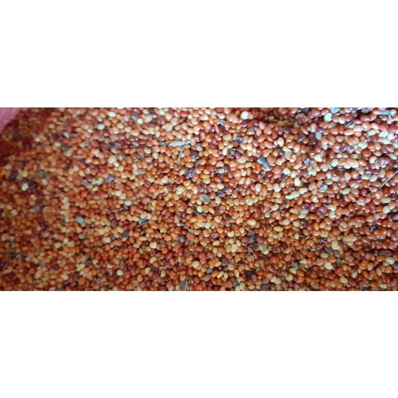 500 gram hạt muồng vàng nhỏ