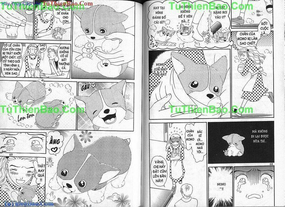 chó con mo mo chapter 1 35