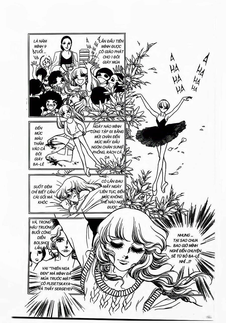 swan - vũ khúc thiên nga chapter 28 16