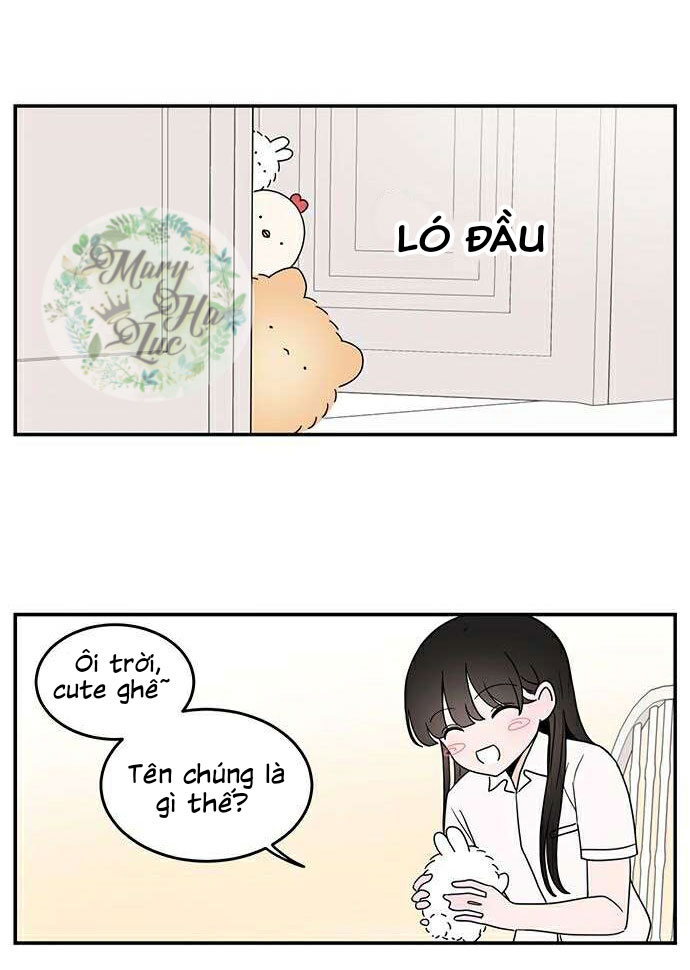 hội chứng nam phụ chapter 16 29