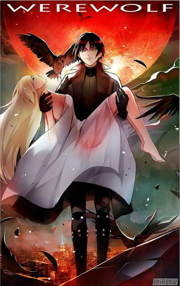 were wolf chapter 8 16