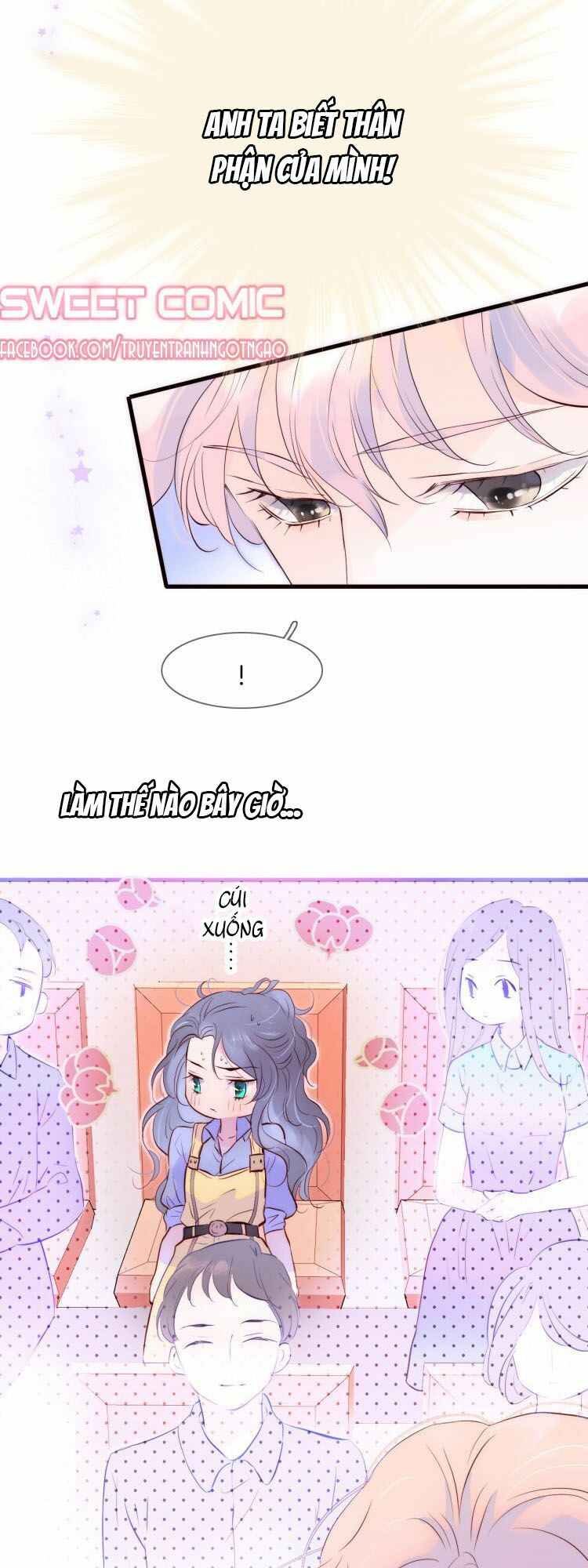 hoa bỏ chạy với nhím rồi chapter 1 69