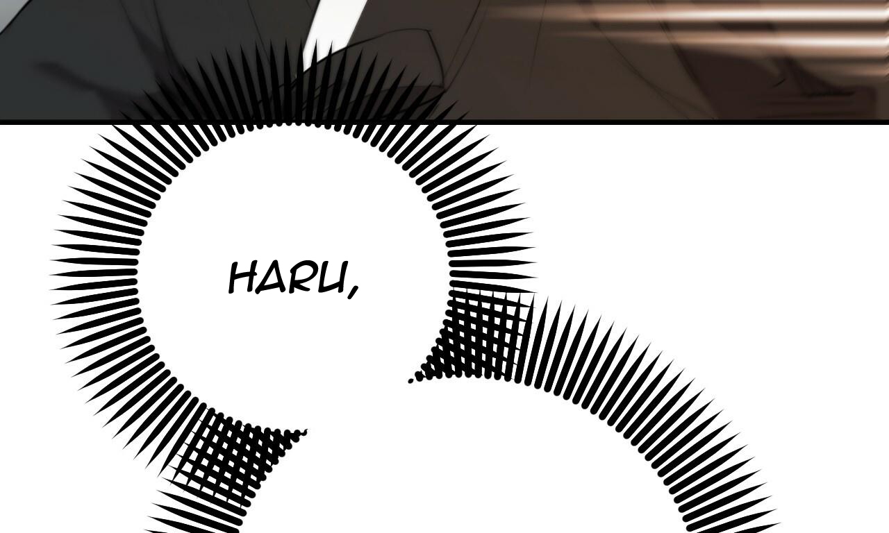 những chú thỏ của hapypy chapter 49 254