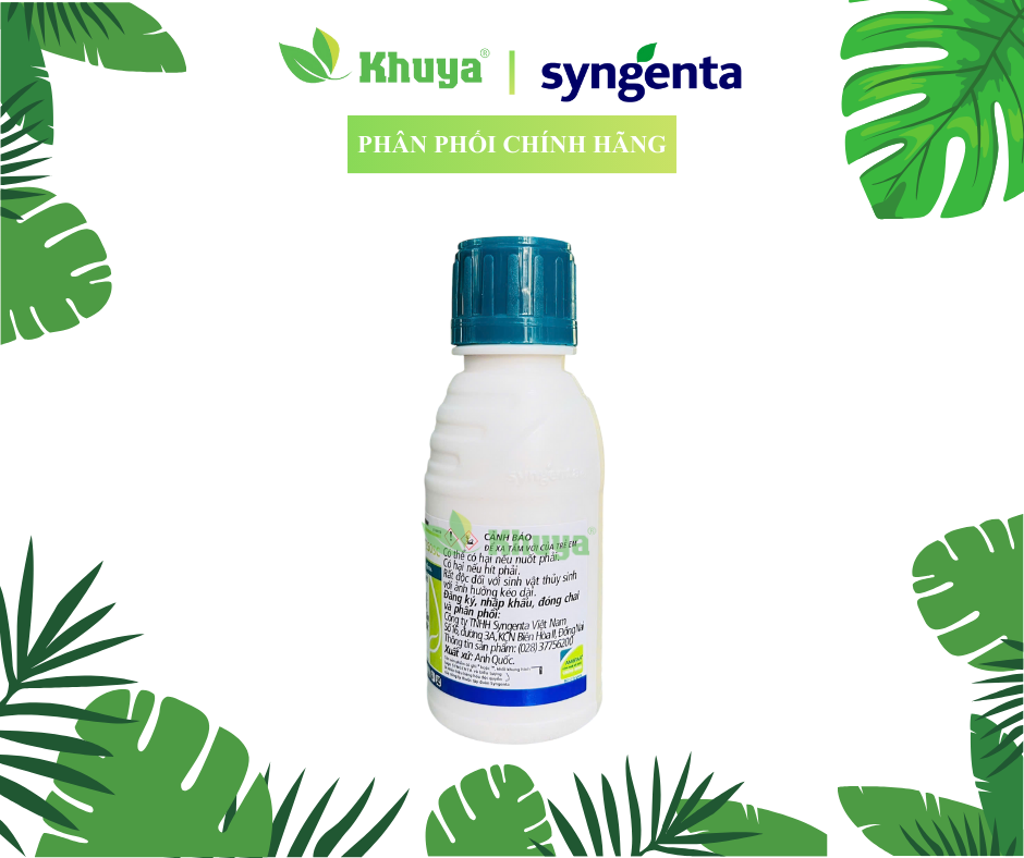Thuốc trừ bệnh Amistar 250SC 100ml chính hãng Syngenta