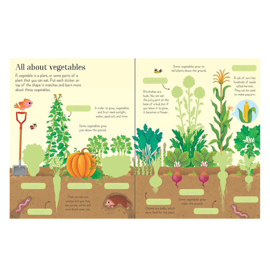 Sách tiếng Anh - Usborne First Sticker Book: Fruit & Vegetables