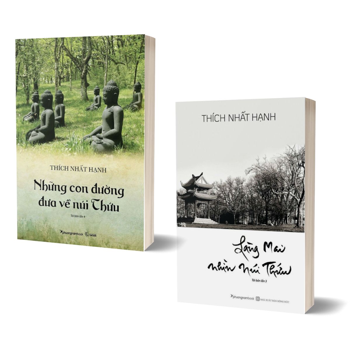 Combo Làng Mai Nhìn Núi Thứu + Những Con Đường Đưa Về Núi Thứu
