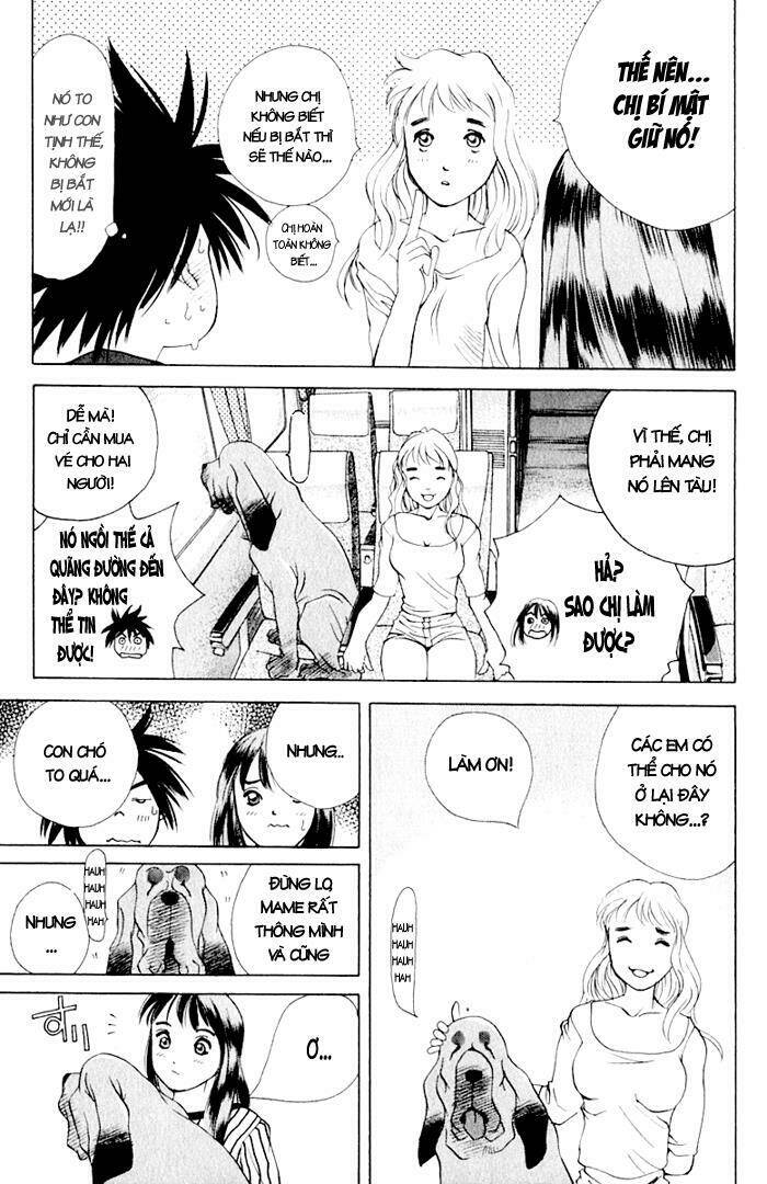 parallel chapter 17 10